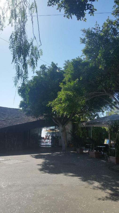 Habitacion Con Bano Privado Santa Cruz de Tenerife Ngoại thất bức ảnh